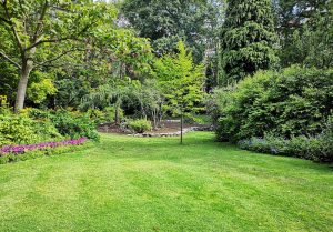 Optimiser l'expérience du jardin à Saint-Vincent-de-Pertignas